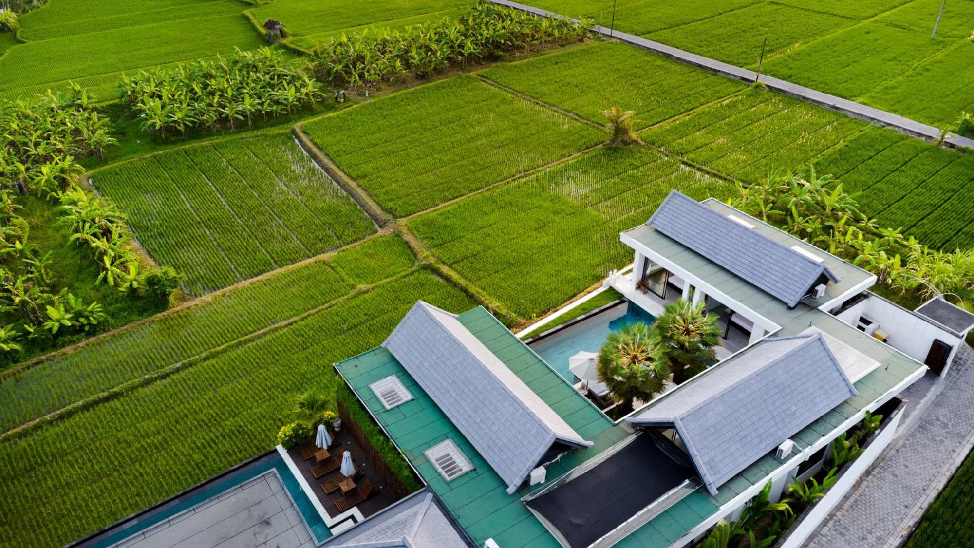 Villa Lina By Balisuperhost 乌布 外观 照片